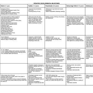 May include: A chart outlining the developmental milestones of children from infancy to adolescence. The chart is divided into sections for each stage of development, including fine motor skills, gross motor skills, Erikson's psychosocial development, Piaget's cognitive development, language development, and nutritional needs. Each section includes a list of key milestones for each stage.