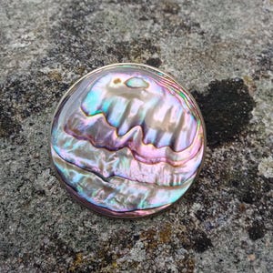 May include: A round, iridescent abalone shell with a silver rim. The shell has a swirling pattern of blues, greens, pinks, and browns.