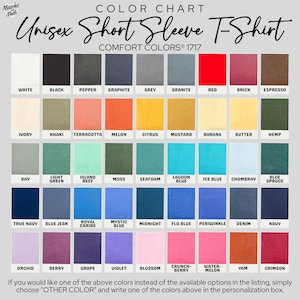 Camiseta divertida para profesores, colores cómodos, sarcástica, para desarrollo profesional, manga corta o larga. imagen 10