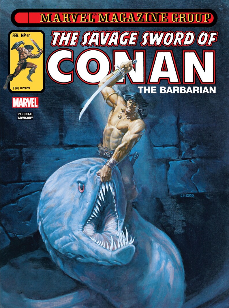 Het wilde zwaard van Conan digitale PDF-strips Klassieke serie uit 1974 Vintage avonturenstrips Legendarische helden-e-boeken Verzamelbare strips afbeelding 7