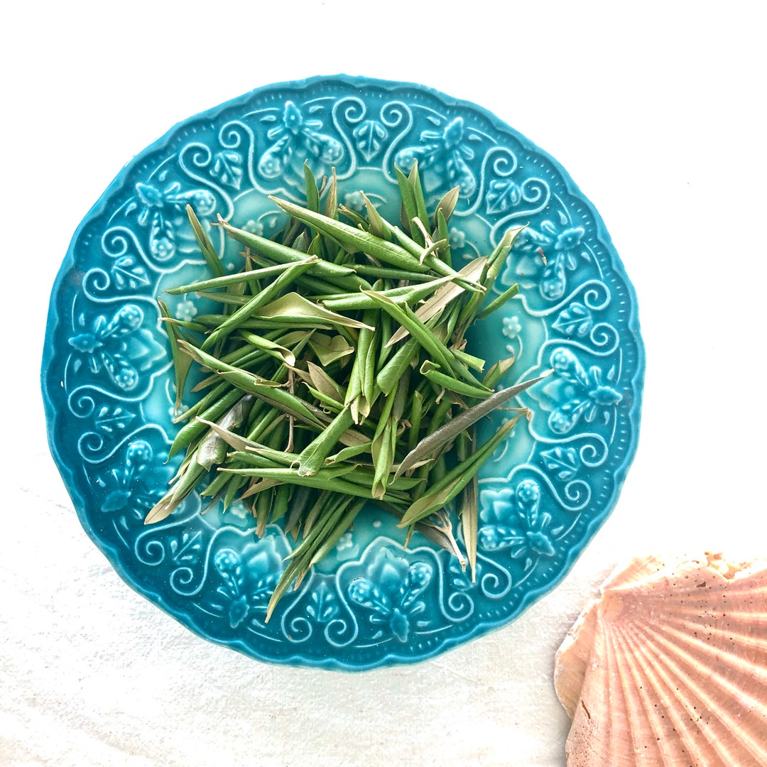 Hojas secas de olivo hoja de olivo Etsy España