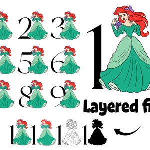 Princes Svg, Baby Girl Birthday Numbers Png, Princes PNG Print, Baby Girl SVG Layered Numbers Svg Cricut, Birthday Shirt svg, Girl shirt Diy