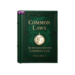 Common Laws — An Introduction into Common Law — A Concise Guide to Lawful Rights and Protections — eBook