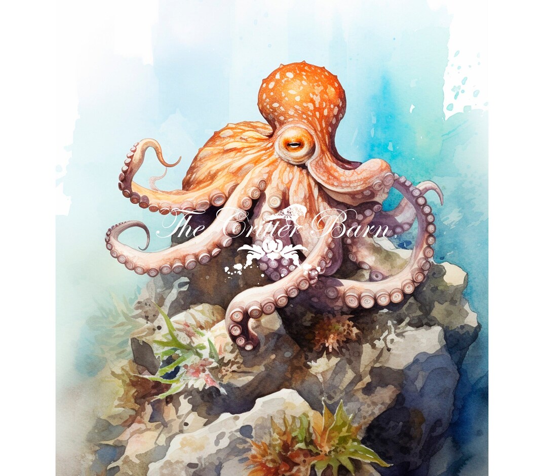 Rice Paper Decoupage A4 Octopus 1 - Etsy