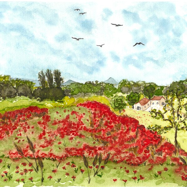 Aquarelle originale d'un Champ de coquelicots et d'un mas provençal "coquelicots"