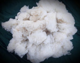 Dinah 2024-- Hand-washed, Hand-picked Heritage Tunis Wool - 4 oz.