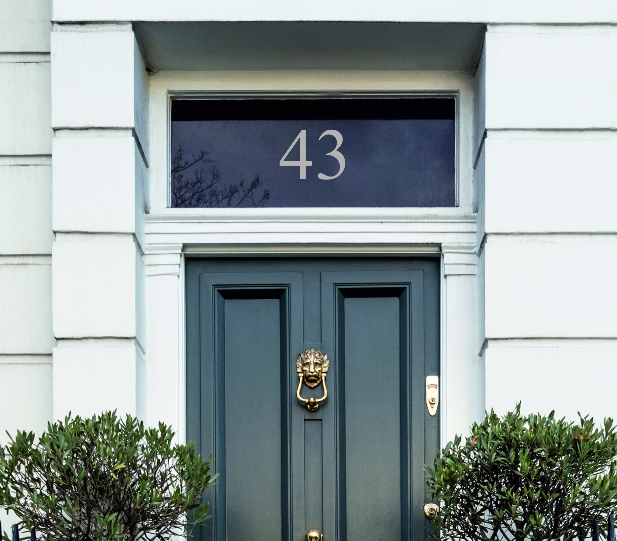 Frosted Fanlight Door Numbers Etched Glass House Numbers Victorian Style Fanlight House Numbers Traditional Front Door Numbers