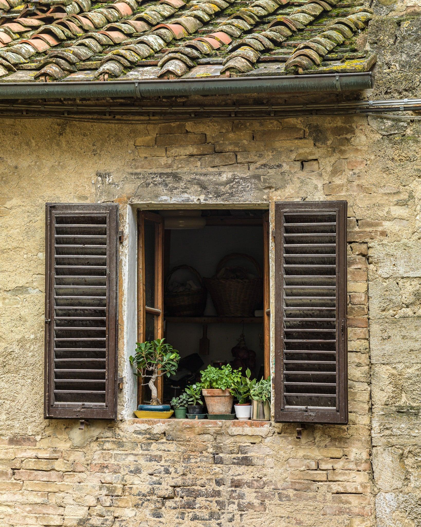 Tuscan Window Rvt Old Tuscan Window With Plants | Limited Edition of 10 - Etsy
