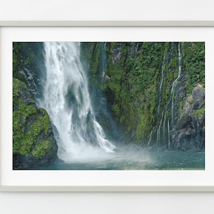Deep forest falls in New Zealand | Wall Art