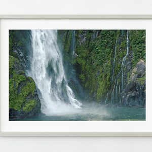 Deep forest falls in New Zealand | Wall Art