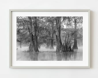 Ochtendmist in de moerassen van Louisiana | Gelimiteerde oplage van 10"