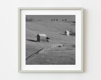 Rolling hills in Romanian farmland | Photo Art Print