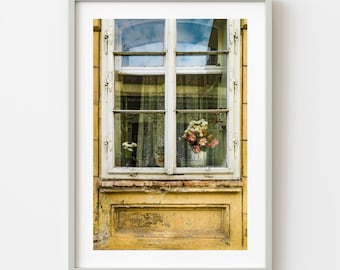 Katze in Fenster mit Blumen Brasov Farbe | Limitierte Auflage von 10 Stück