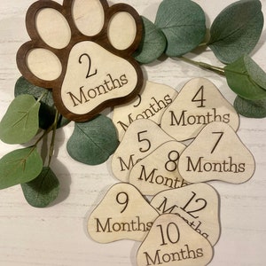 Marcadores de hitos mensuales para cachorros