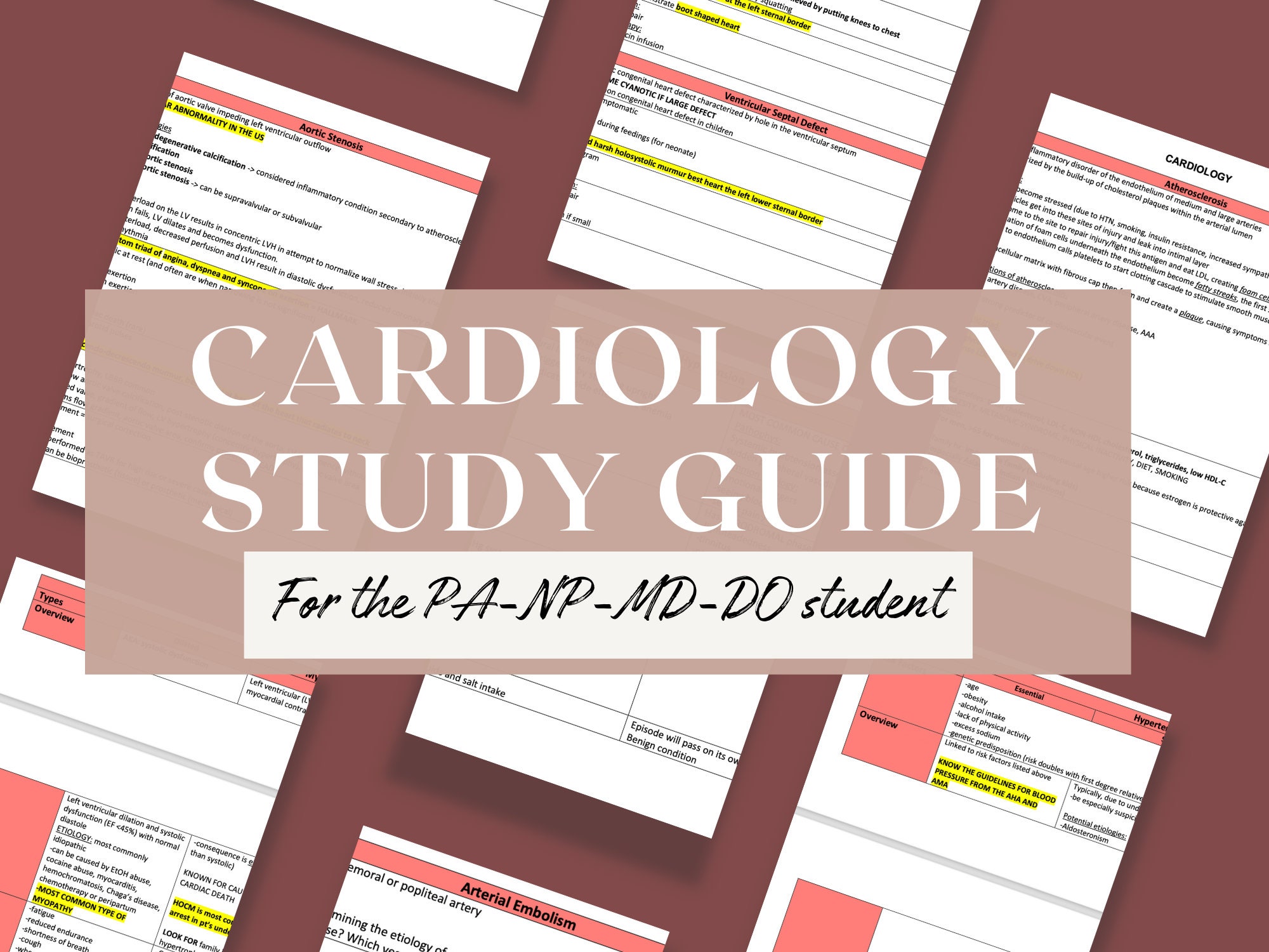 Pance Study Guide Book Cardiology Study Guide / Physician Assistant / Nurse Practitioner / Med ...