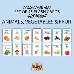 45 Lerne Punjabi Lernkarten, Obst, Tiere und Gemüse in Punjabi, Homeschooling Ressourcen, Lerne Punjabi, Gurmukhi, Punjabi Bildung