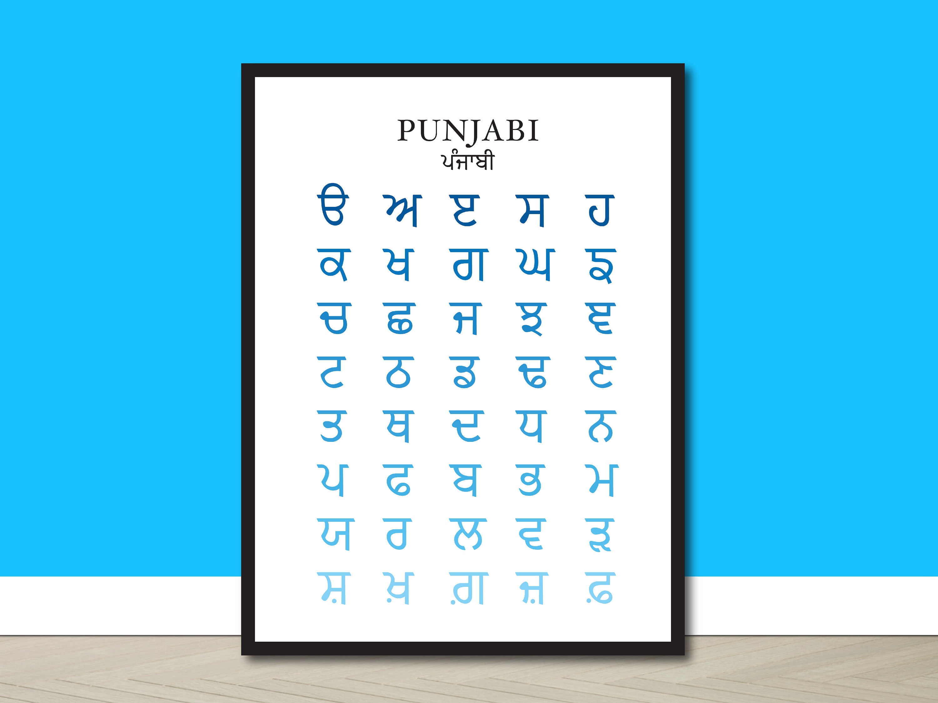 Punjabi Language Alphabet With Hindi