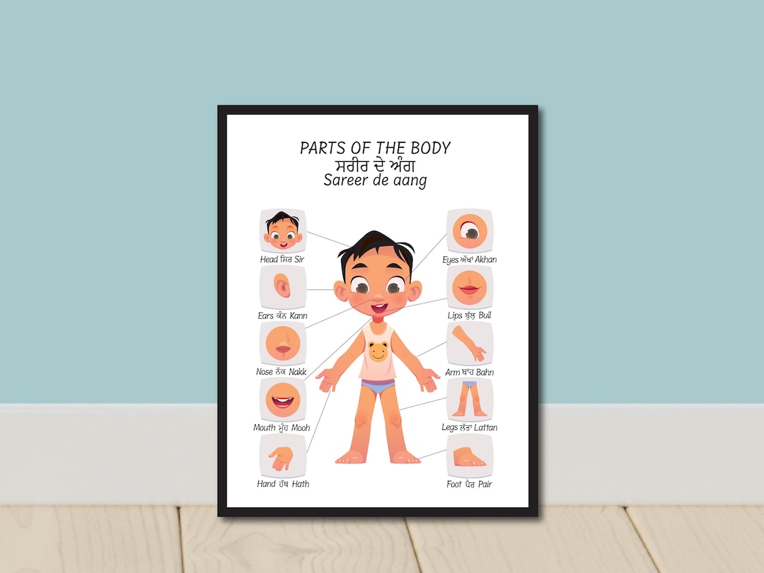 Parts of the Body in Punjabi Punjabi Educational Poster Etsy