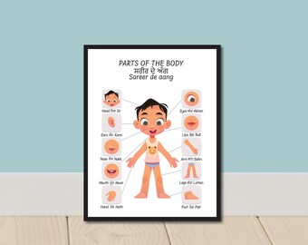 Partes del cuerpo en punjabi, cartel educativo punjabi, sikh, decoración de sala de juegos, gurmukhi, decoración de pared para niños, escuela en casa, digital, niños