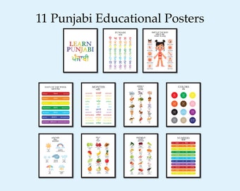 Puede incluir: Once carteles educativos coloridos en punjabi, que cubren temas como el alfabeto, los días de la semana, los meses, los colores, los números, el clima, las frutas, las verduras y las partes del cuerpo.