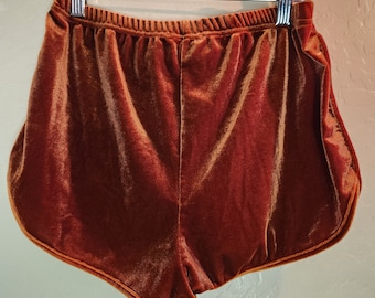 1970s Style Bronze Hot Shorts / Velvety