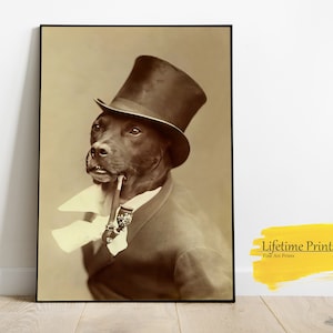 Antique Photo Dog Smoking Pipe in a Top Hat Wall Art Poster, Vintage Poster, College Apartment, Trendy Dorm Wall Art, Funky Wall Art