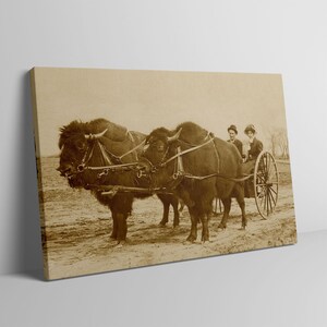 Early 1900&#39;s Bison Buffalo Cart Western Americana Cowboy Sepia Canvas Wall Art Print