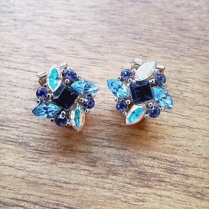 May include: A pair of silver tone earrings with blue and purple rhinestones. The earrings are shaped like a cluster of flowers.