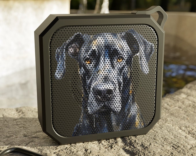 Great Dane Bluetooth 5.0 Speaker, Up to 12 Hours of Playtime, Portable Wireless Speaker with Dual Equalizer, Built-in Microphone, AUX Input