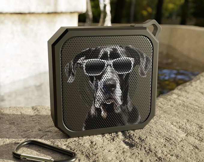 Cool Dog Bluetooth 5.0 Speaker, Up to 12 Hours of Playtime, Portable Wireless Speaker with Dual Equalizer, Built-in Microphone, AUX Input