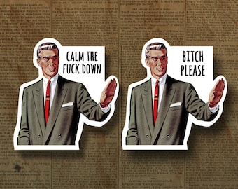 Bitch Please Glossy Sticker, Funny Meme Decal
