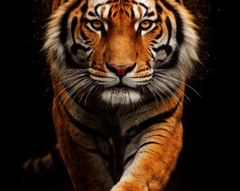Animal print, Tiger print,  Black and White & Color, African digital wall art