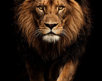 Animal print, Lion print,  Black and White & Color, African digital wall art