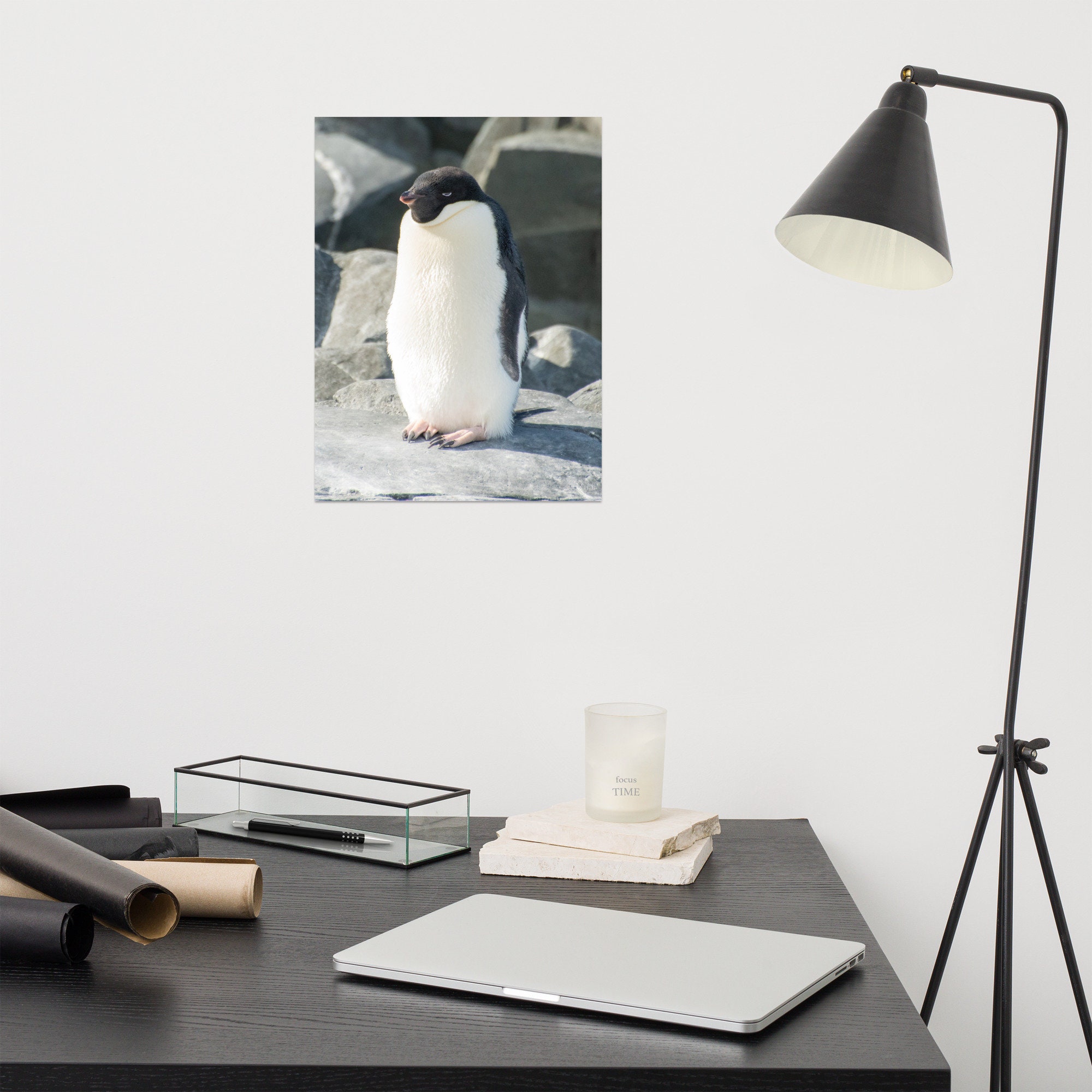 Grumpy Adelie Penguin in Antarctica. 12x16