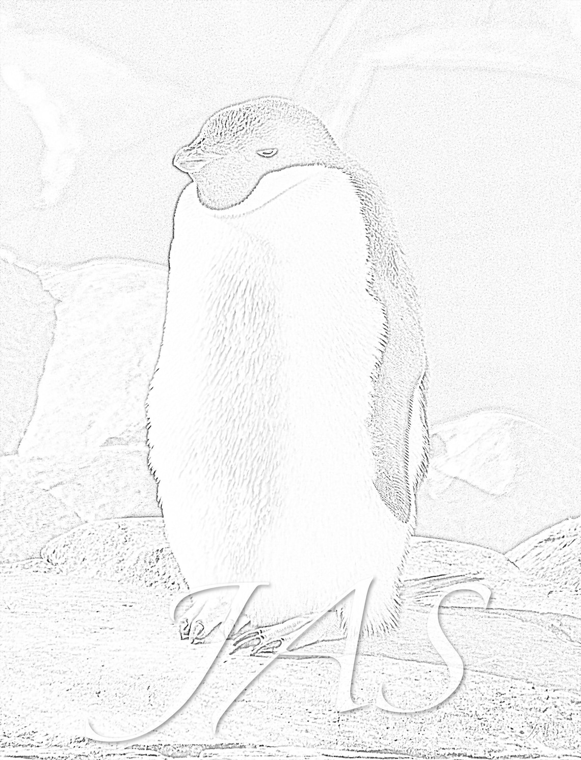 Moody Adelie Penguin. Immediate Printable Coloring Page in PDF & JPG ...