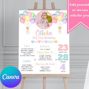 Letrero de estadísticas del bebé / Póster del primer año / Recuerdo de cumpleaños / Tablero de hitos pastel / Decoración de cumpleaños para niñas