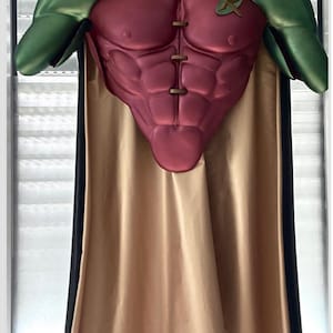 May include: A costume resembling Robin's torso, featuring a burgundy chest with sculpted abs, green sleeves, and a black and tan collar. The costume includes a gold cape with a black lining and a green emblem.