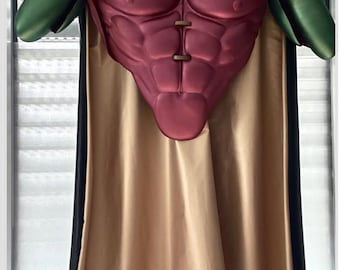 Könnte beinhalten: Ein Robin-Kostüm-Torso mit burgunderfarbenem Brustbereich und geformten Bauchmuskeln, grünen Ärmeln und einem schwarzen und beigefarbenen Kragen. Es hat einen goldenen Umhang mit schwarzem Futter und einem grünen Emblem.