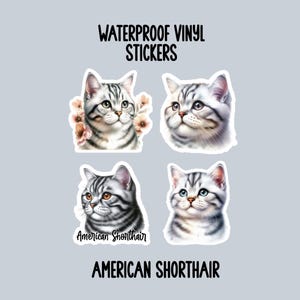 American Shorthair Cat, Cat Stickers, Cat Gifts, Pet Gifts, Waterproof Stickers, Water Bottle Stickers, Computer Stickers, S75