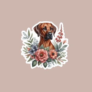 Rhodesian Ridgeback, Lion Dog, Dog Stickers, Waterproof Stickers, Water ...