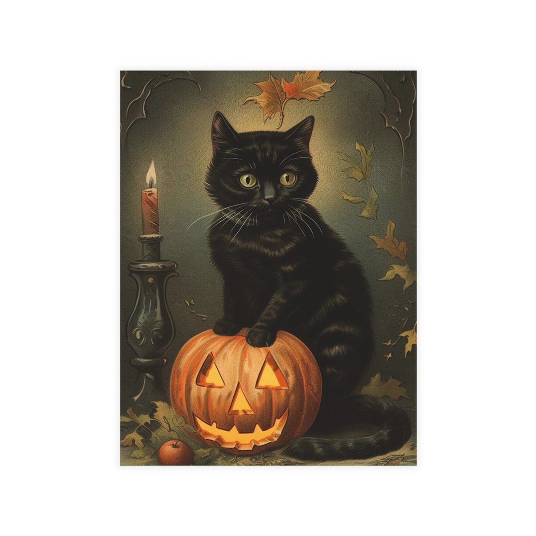 Vintage Halloween Postcard, Black Cat Jack O' Lantern (envelopes ...