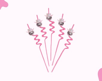 Disco Cowgirl Plastic Straws, Bachelorette Party Supplies, Set of 12