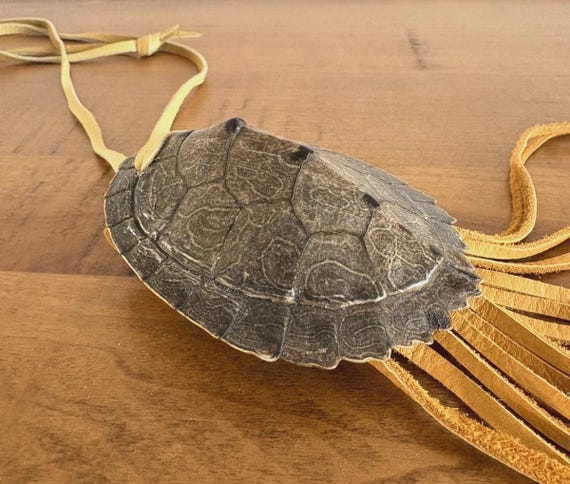 Native American Turtle Shell Pouch with Leather S… - image 5