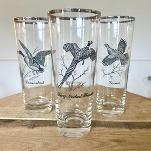 Vintage Bird Glasses, Game Bird Hunting Glasses, MCM, Set of 3 Glasses, 1960s, Sportsman, Federal Glass, Silver Rim
