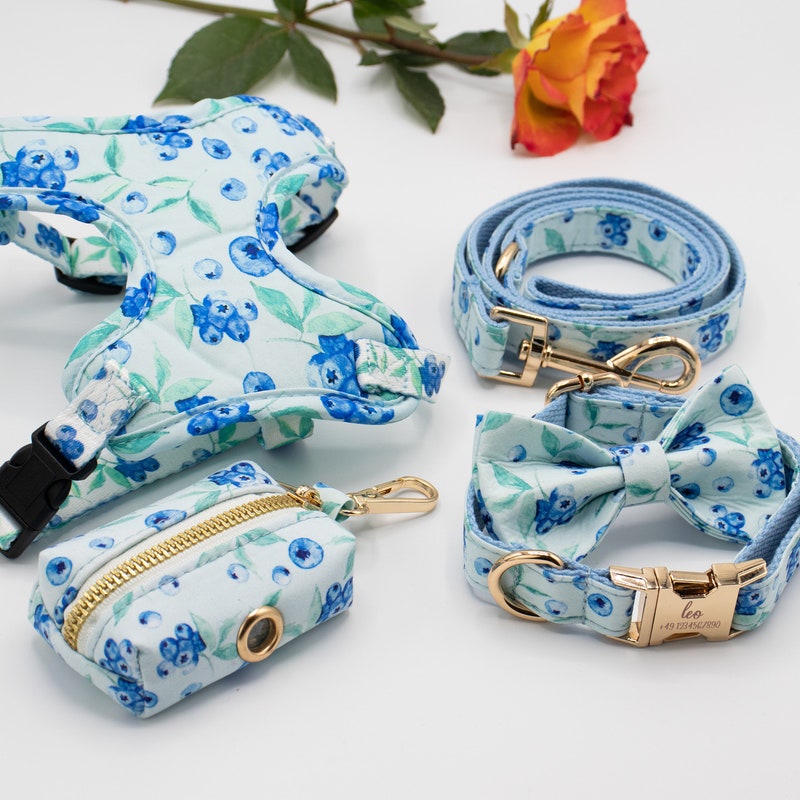 Cute Dog Harness - Etsy