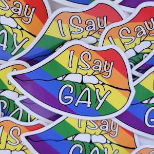 I Say Gay Stickers