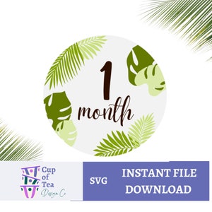 Tropical Jungle Baby Milestone Marker (1-12 Month) SVG File Monthly jalon svg, Milestone disques svg, Baby Milestone SVG,