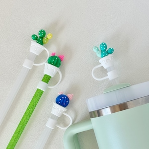 Topper en paille de cactus pour la coupe Stanley, breloque en paille végétale, couverture en paille occidentale, compagnon de paille succulente pour la fête, cadeau pour amateur de cactus, cadeau pour maman, plante