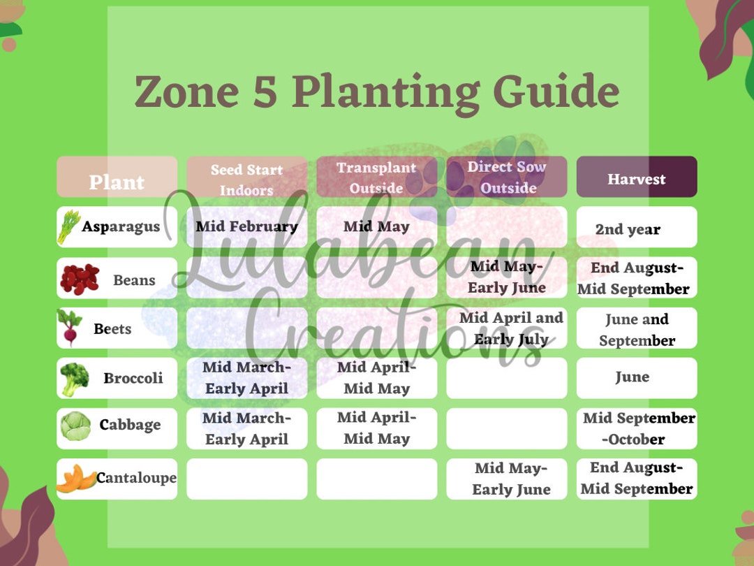 Zone 5 Planting Guide Etsy