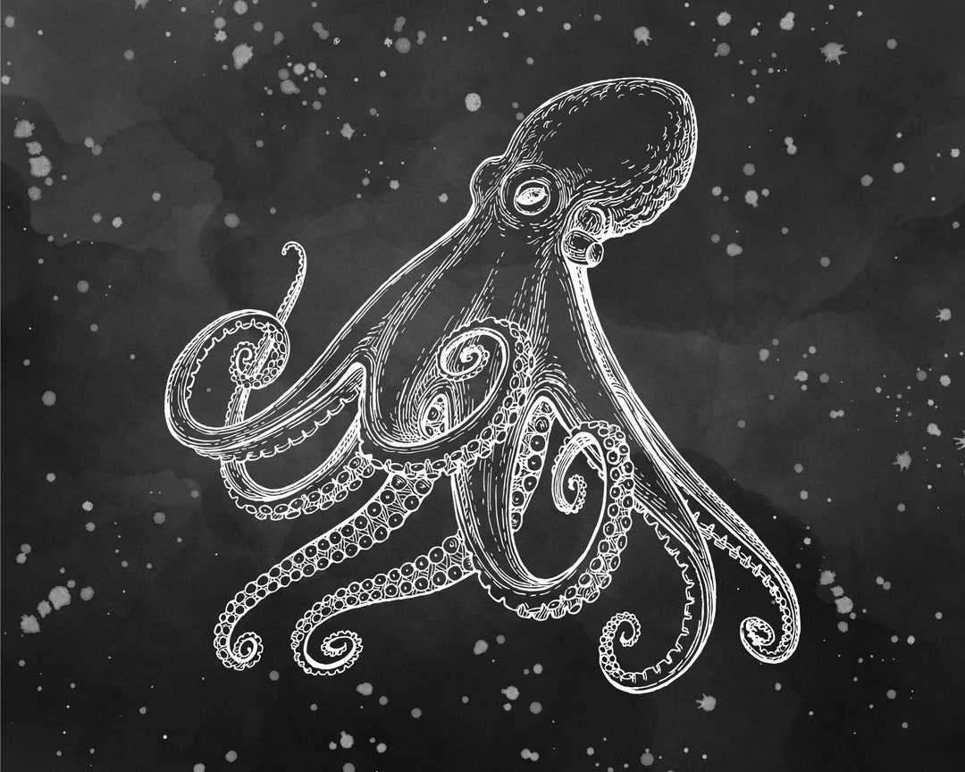 Octopus Wall Art, Octopus Art, Octopus Wall Decor Etsy